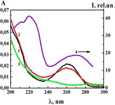 Diluted Aqueous Dispersed Systems of 4-Aminopyridine: The Relationship of Self-Organization, Physicochemical Properties, and Influence on the Electrical Characteristics of Neurons